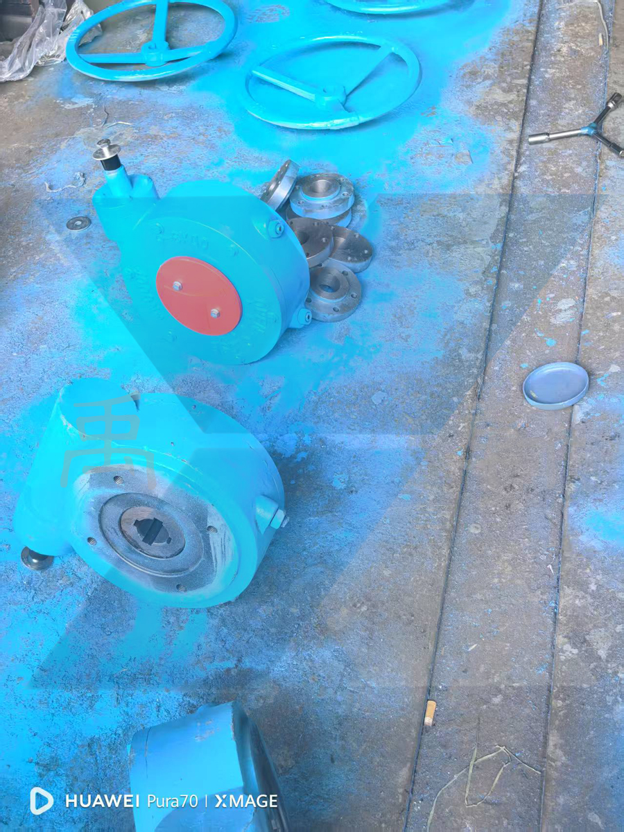 上海麻豆日记下载为徐州环保企业定制QDX3-6单级蜗轮配套通风设备助力绿色工程(图2) 上海麻豆日记下载为徐州环保企业定制QDX3-6单级蜗轮配套通风设备助力绿色工程(图2)