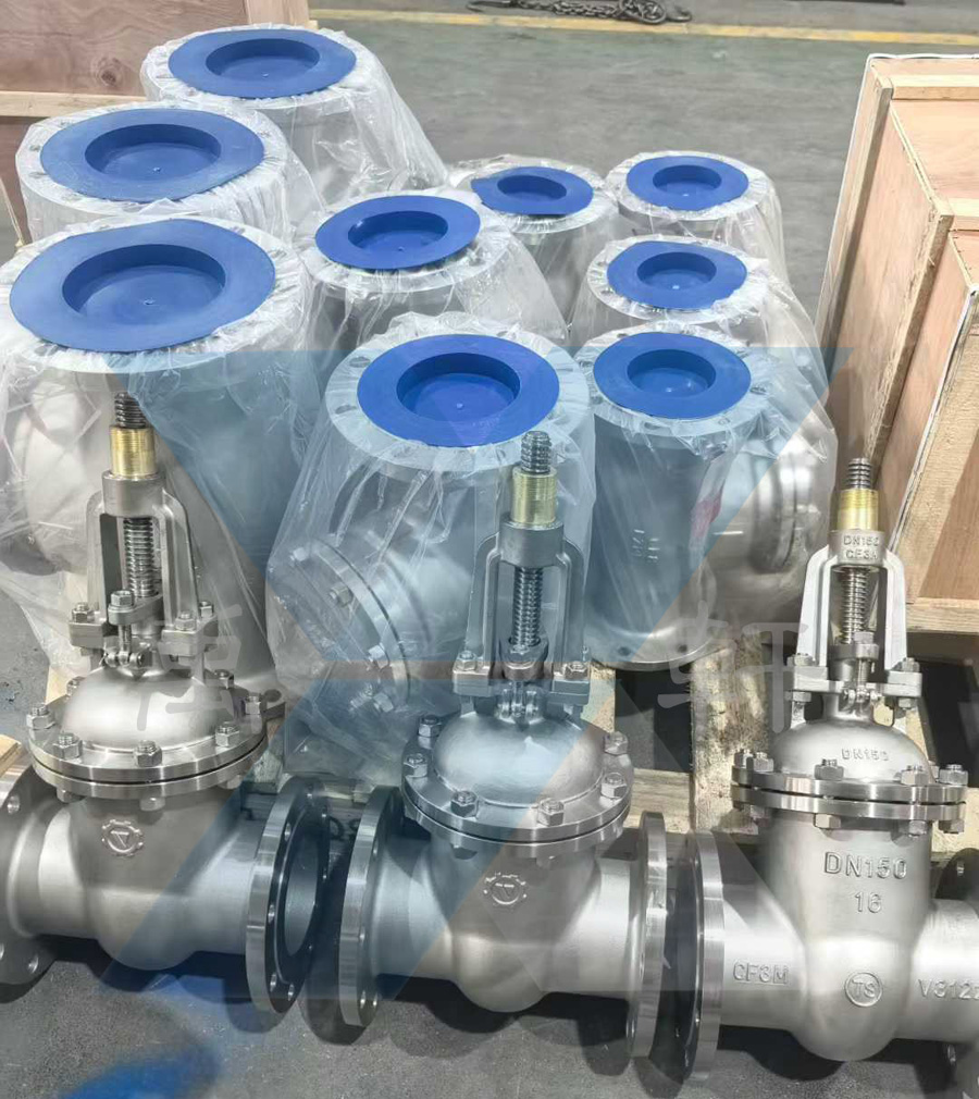 Z41W闸阀+H44W止回阀不锈钢阀门组团启程 精准赋能达州化工高质量发展(图1)